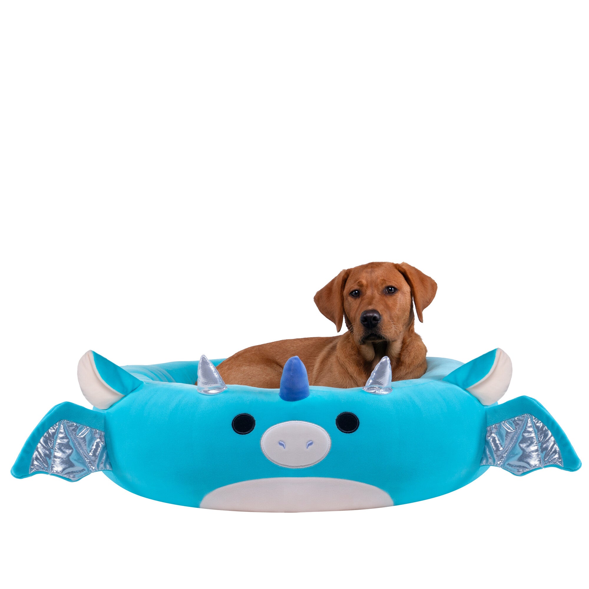 JPT0510-LG-TATIANATHEDRAGONPETBEDS-Lifestyle7-lpr.jpg