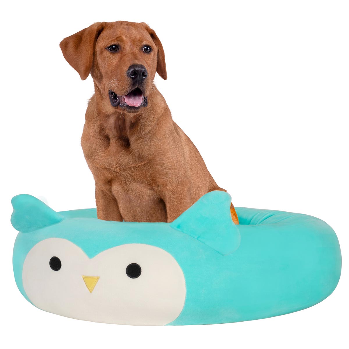 JPT1187-LG-SquishmallowsPetBed-WinstontheOwl-OP-3QtrL_lpr.jpg