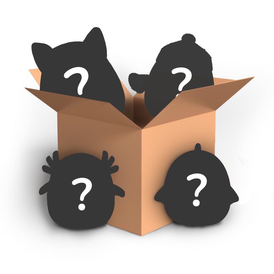 Mystery Box 4 Pack - 8-Inch