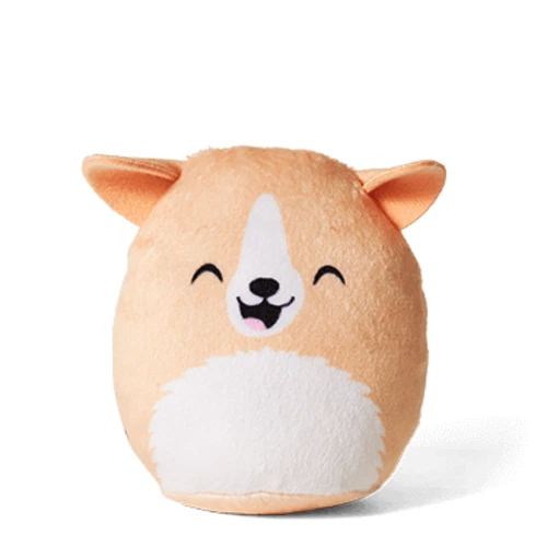 Picture 12 of 20 (1)